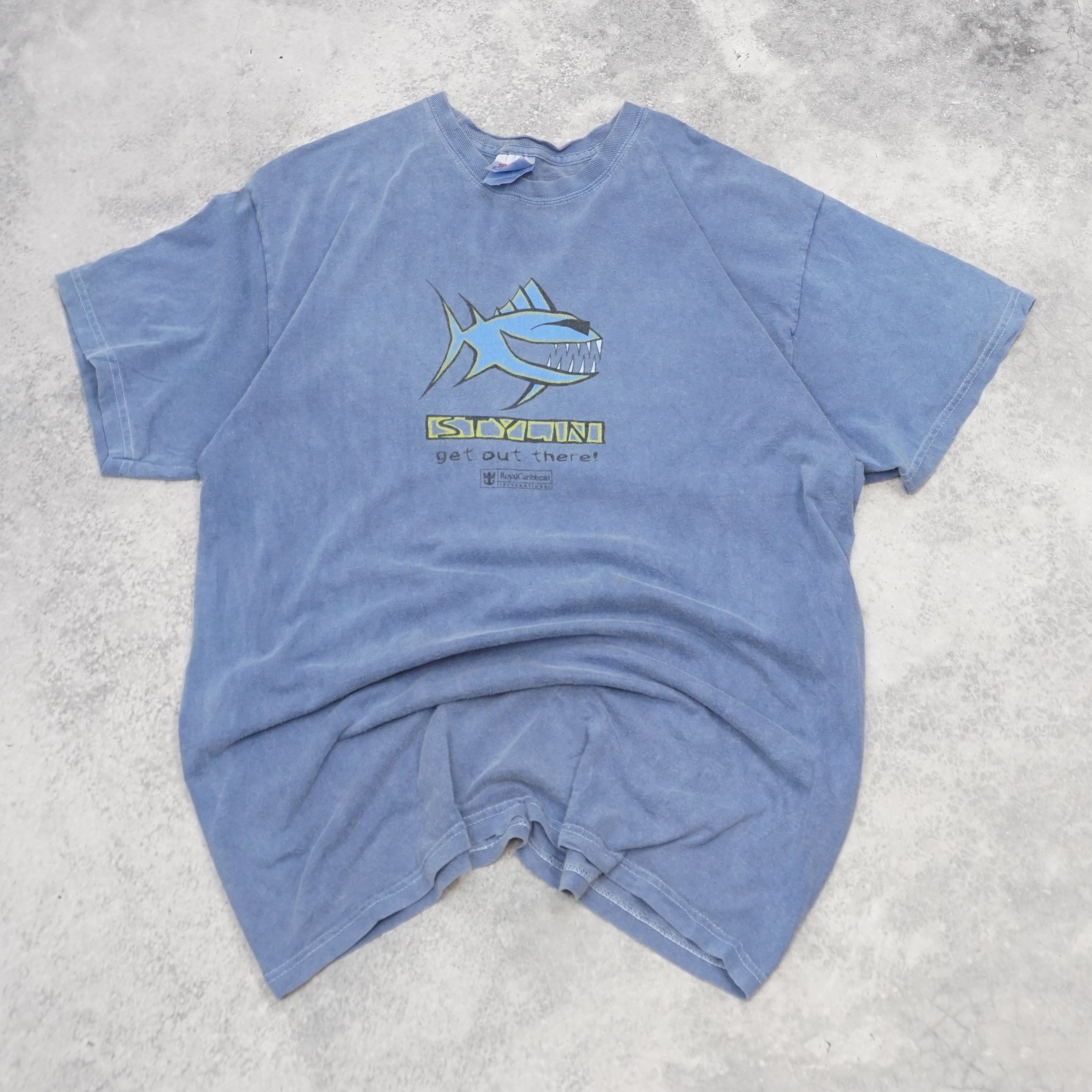 Hanes Heavyweight T-Shirt