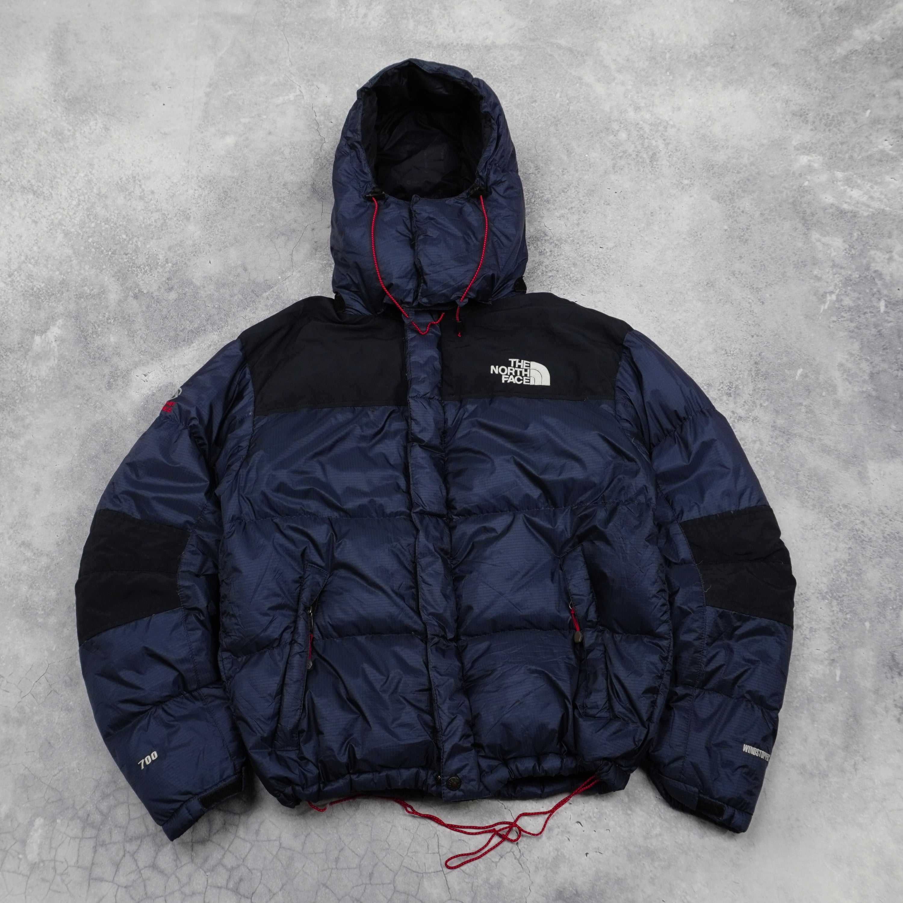 The North Face Summit Series 700 Hooded Puffer Jacket