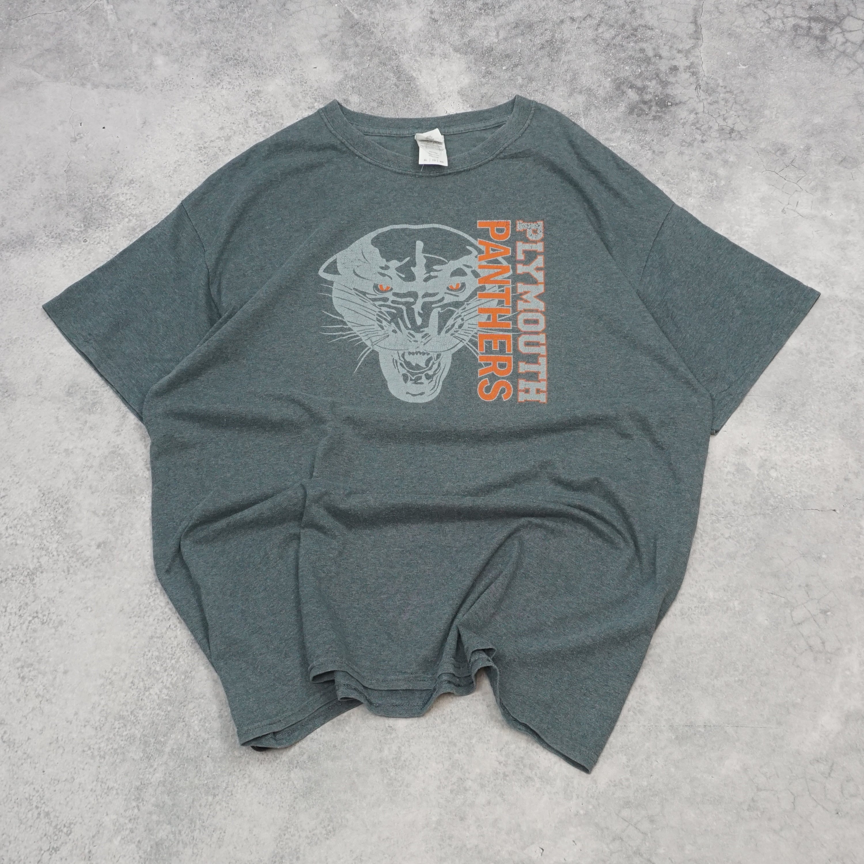 Gildan Plymouth Panthers Graphic T-Shirt