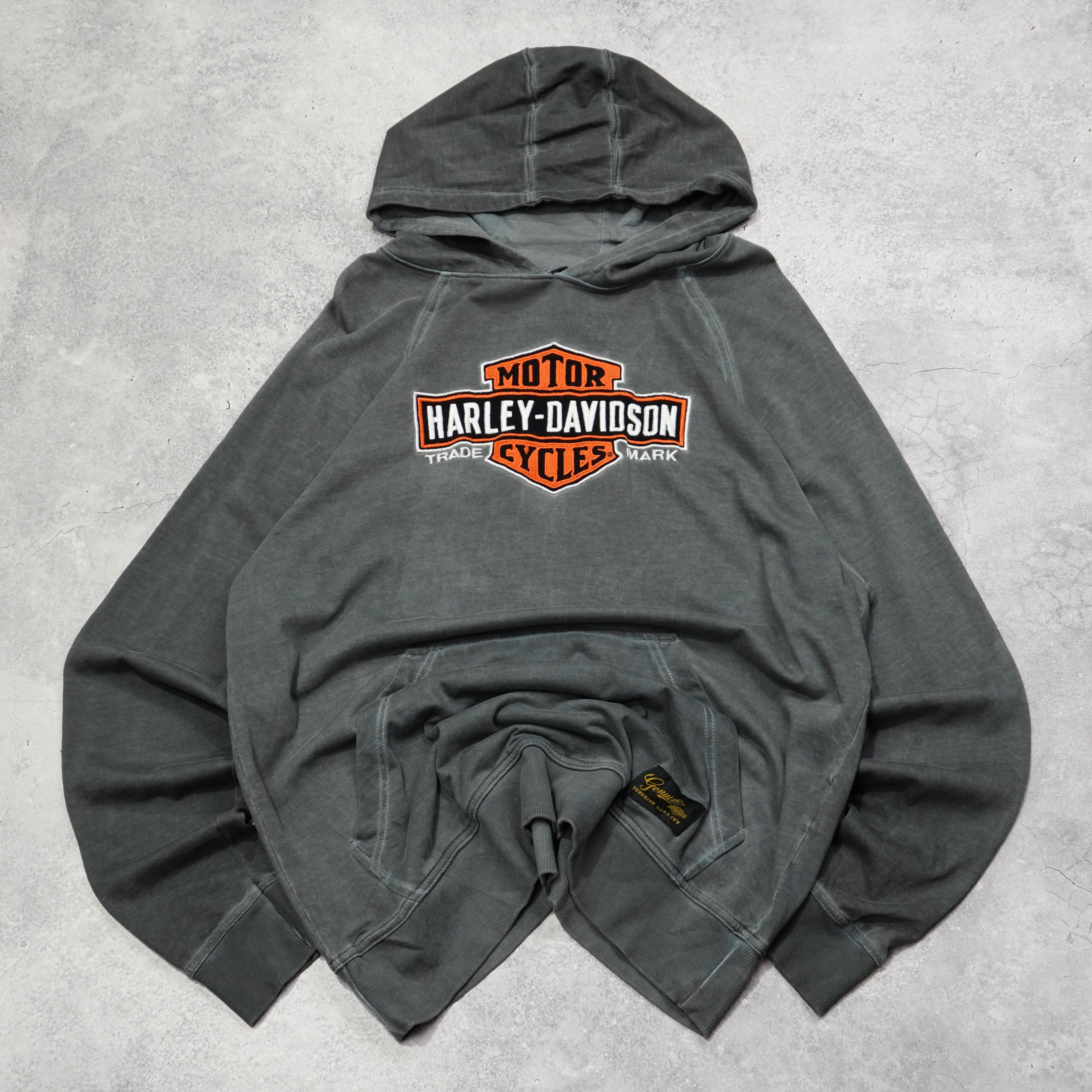 Modern Harley-Davidson Hoodie