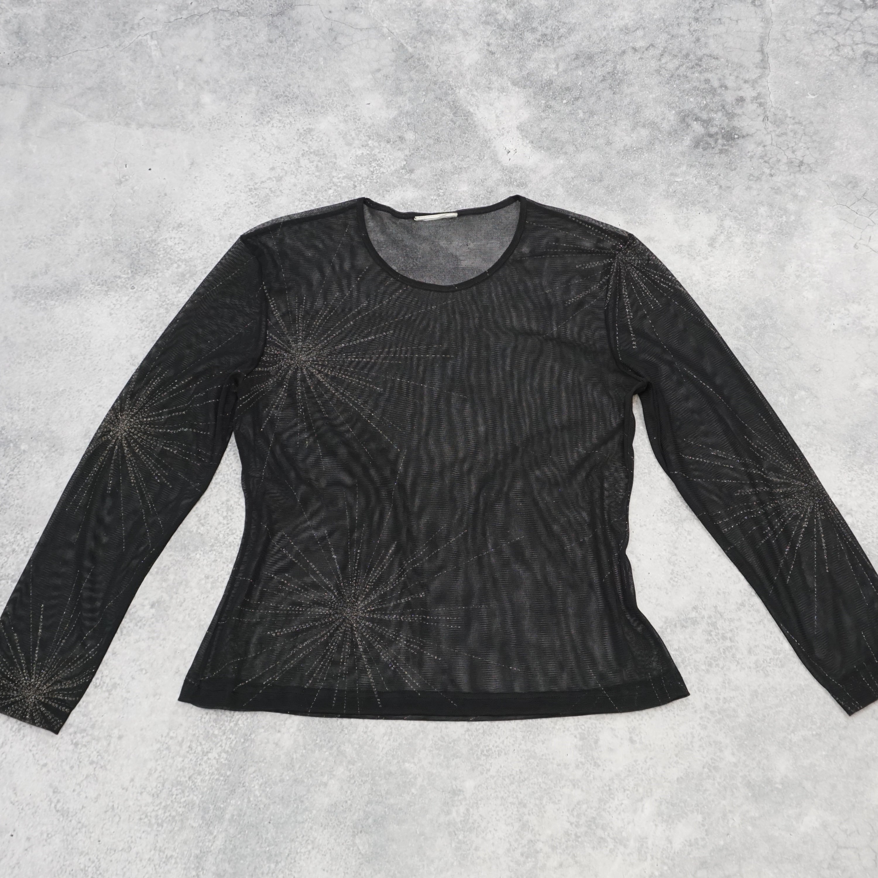 Firework Sheer Long Sleeve Top