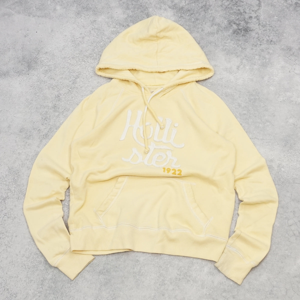2000s Hollister Cropped Embroidered Hoodie