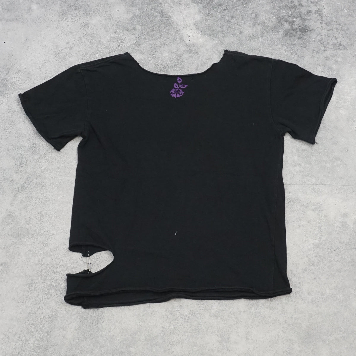 2000s Algonquins Hellbroth Graphic Crop Distressed T-Shirt