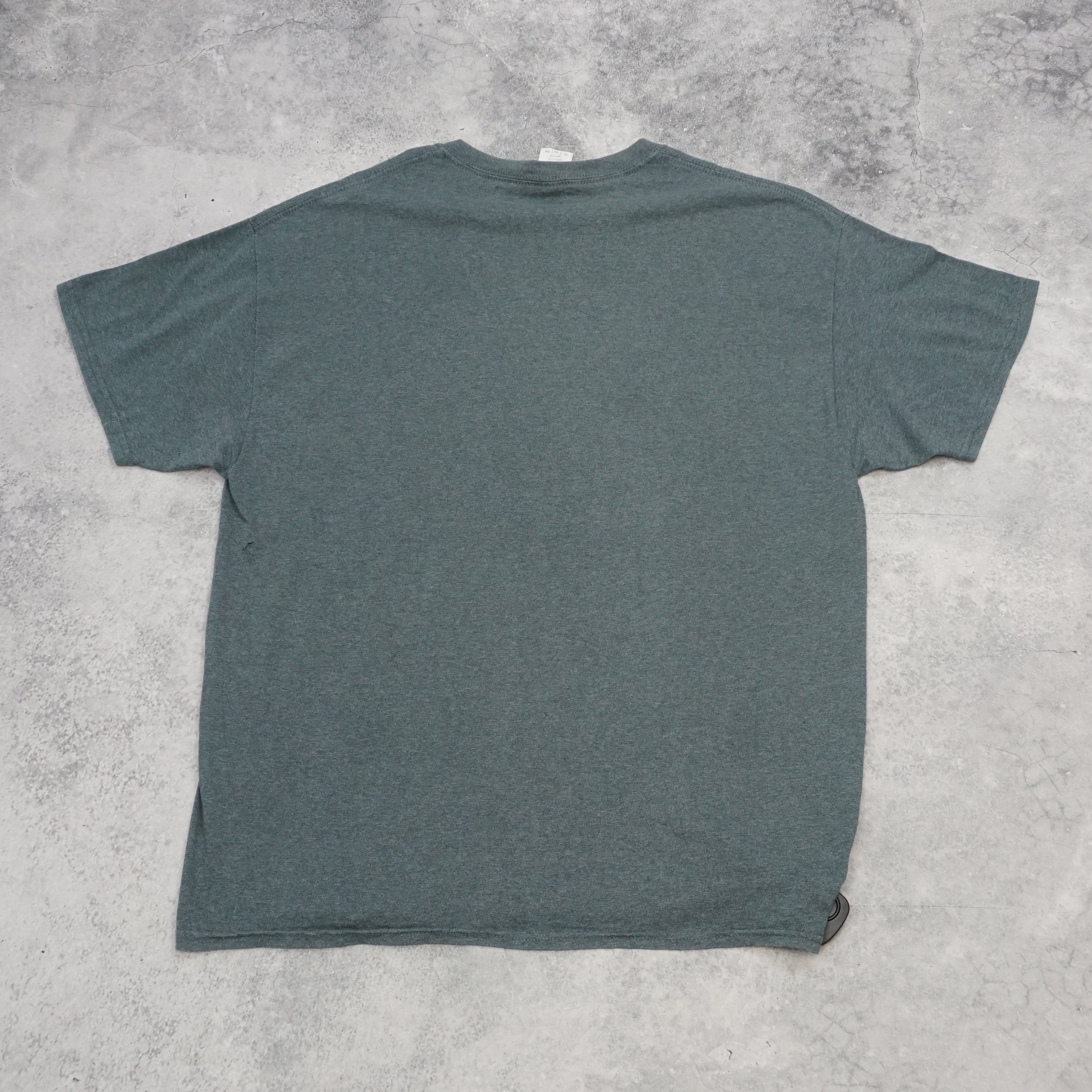 Gildan Plymouth Panthers Graphic T-Shirt