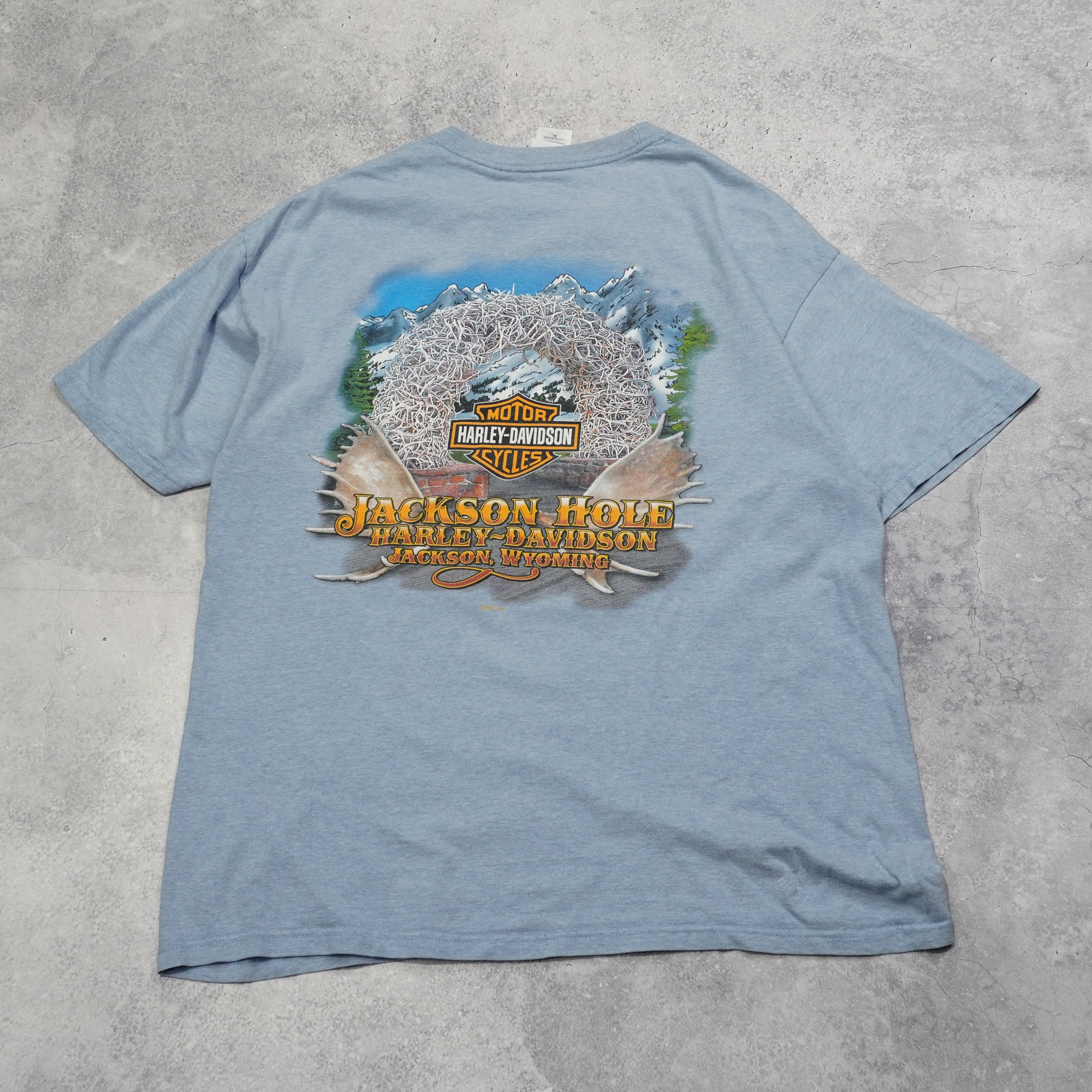 Harley Davidson T-Shirt