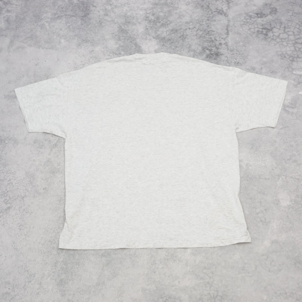 2000s Hanes Big Bird Graphic T-Shirt