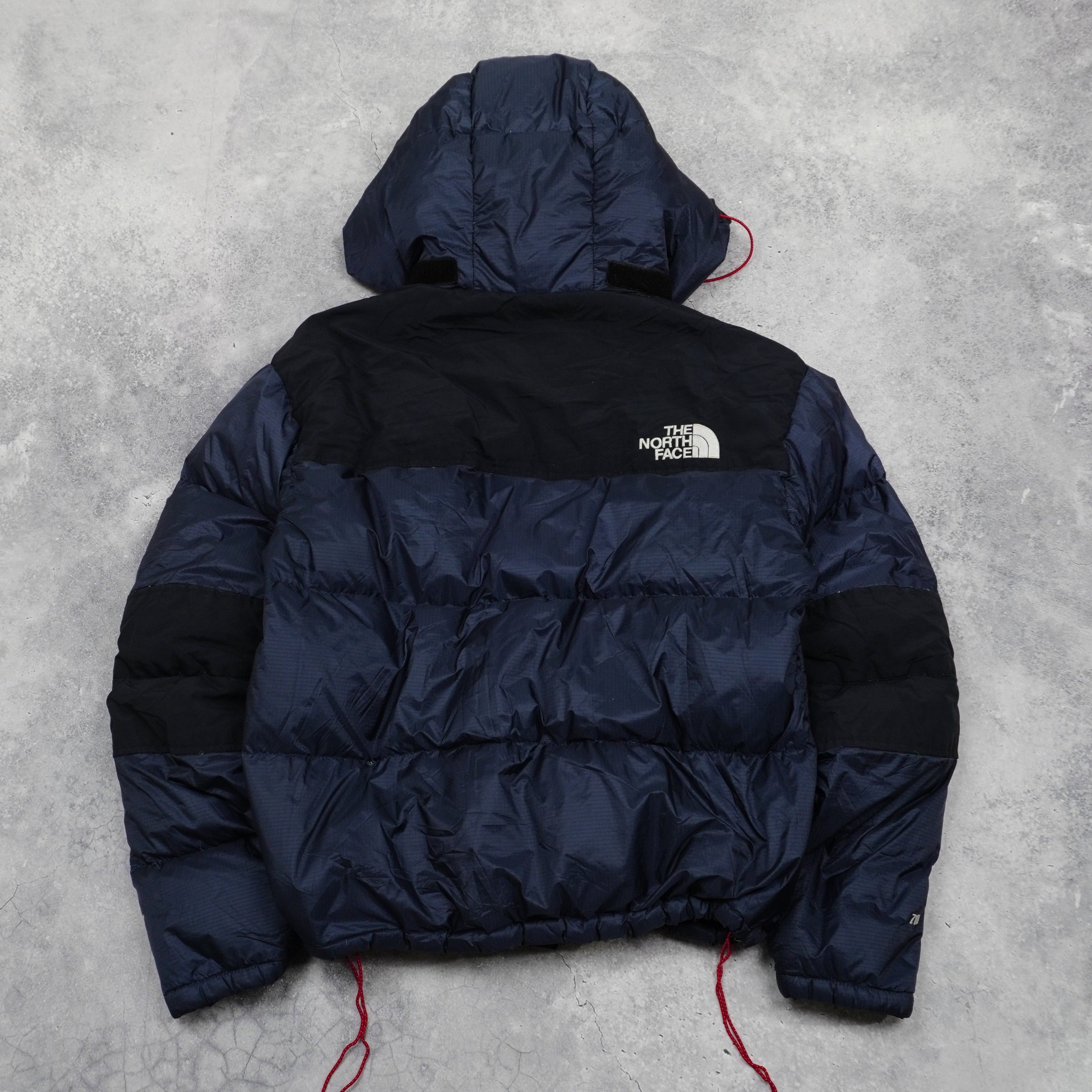 The North Face Summit Series 700 Hooded Puffer Jacket