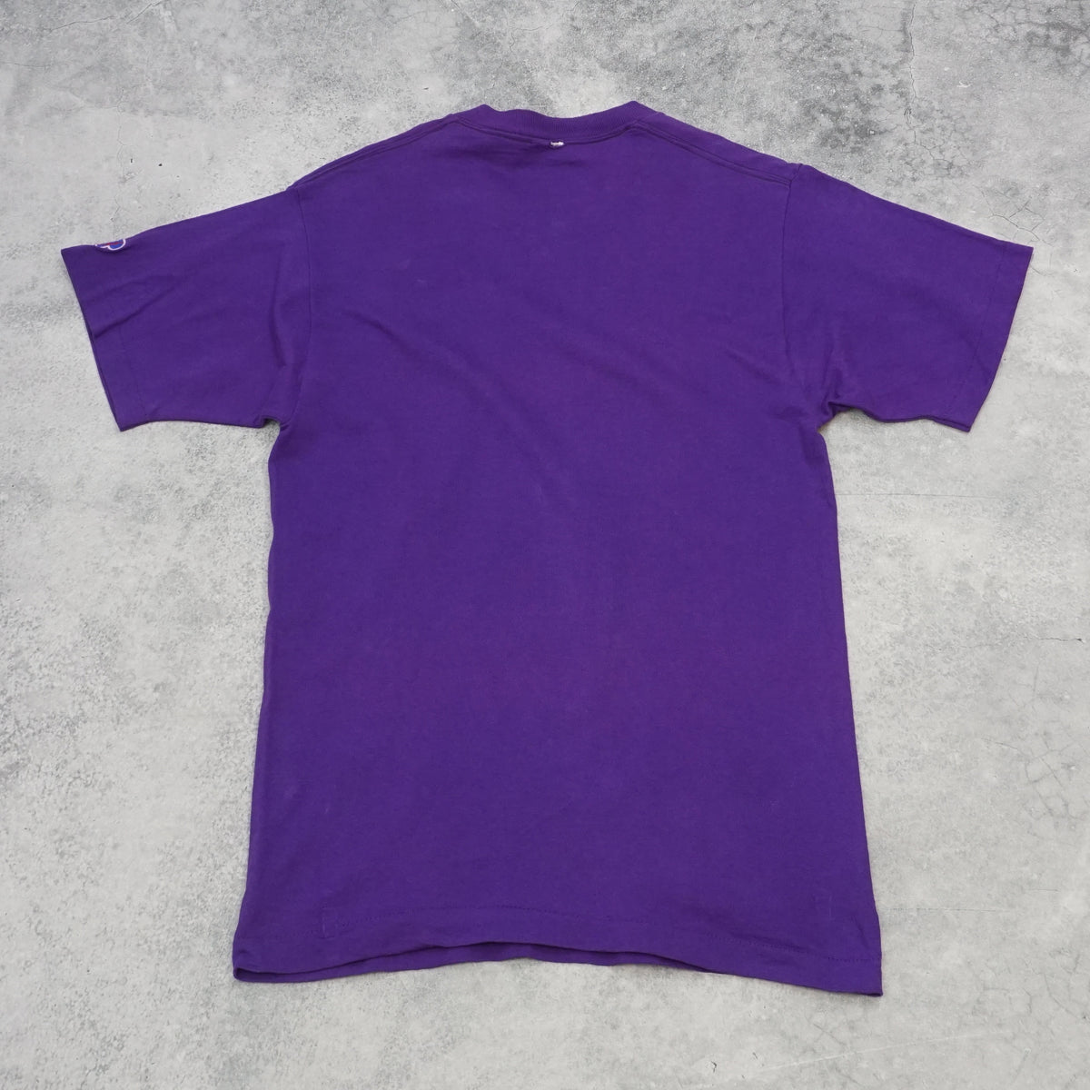 90s Nutmeg Mills Toronto Raptors Basketball Graphic T-Shirt
