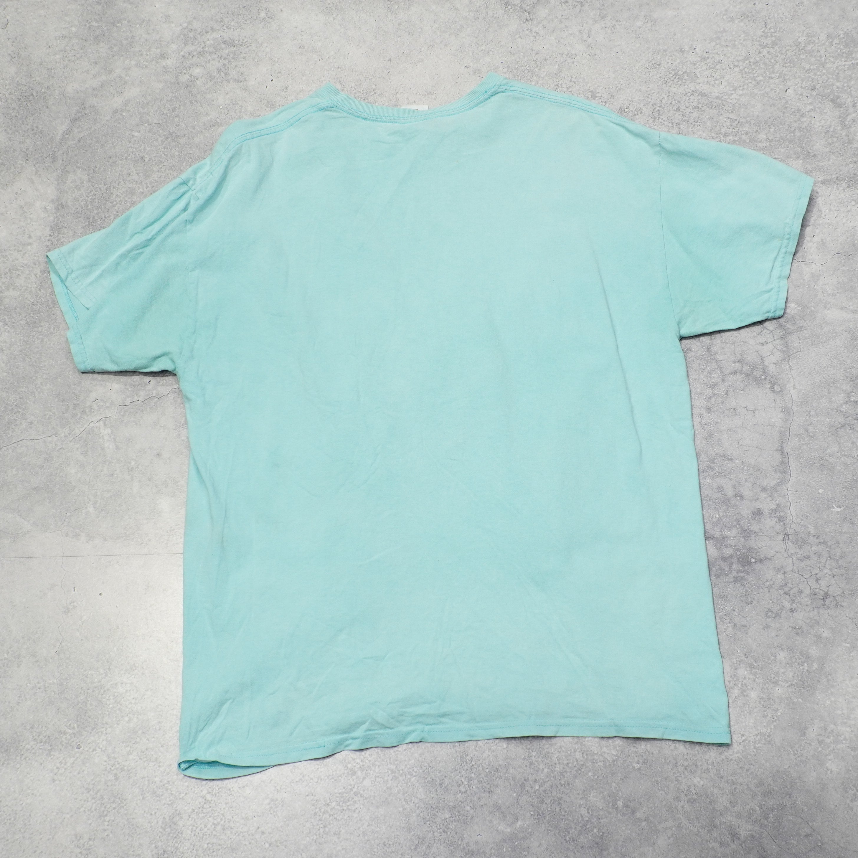 2000s Gildan Ultra Cotton T-Shirt