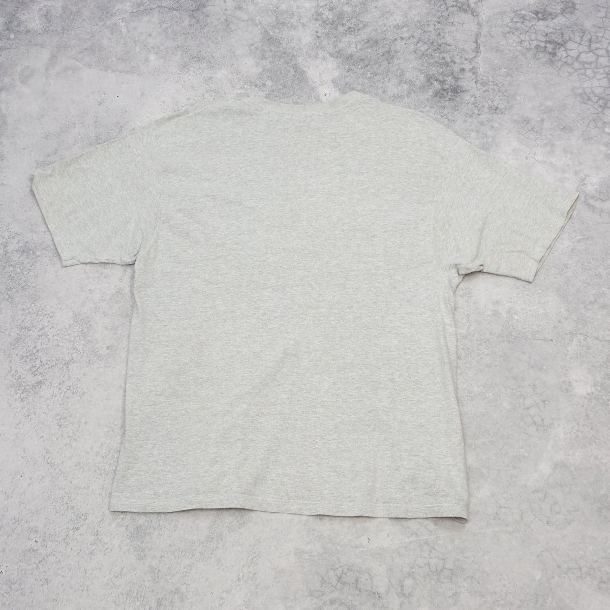 90s Champion St. Cloud State Stripe T-Shirt