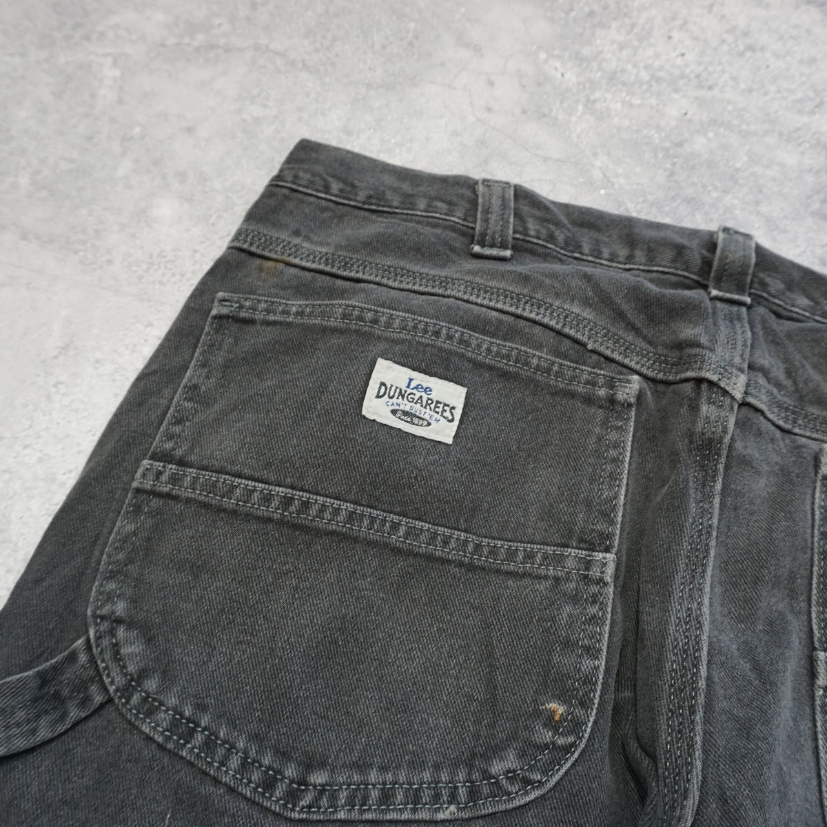 Lee Carpenter Pants