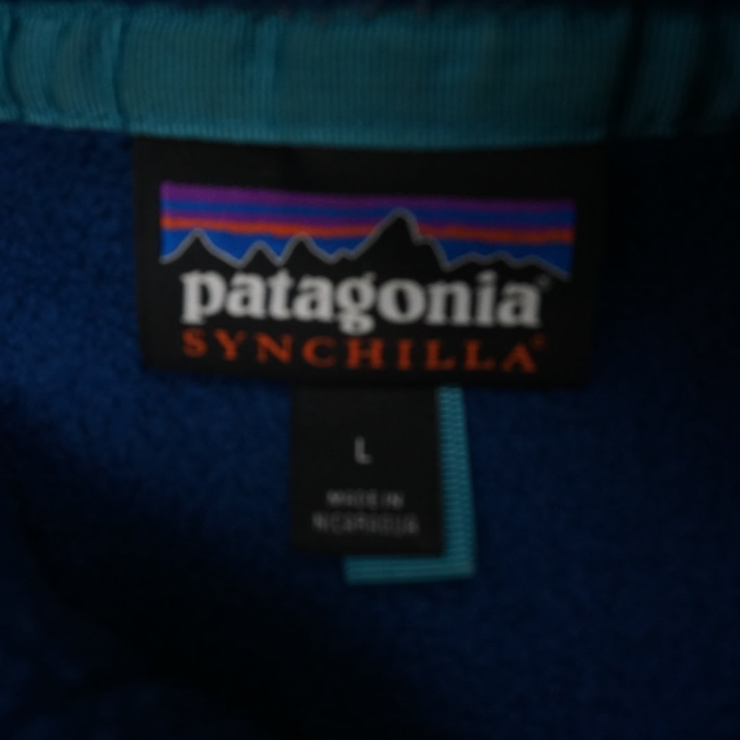 2000s Patagonia Synchilla Fleece