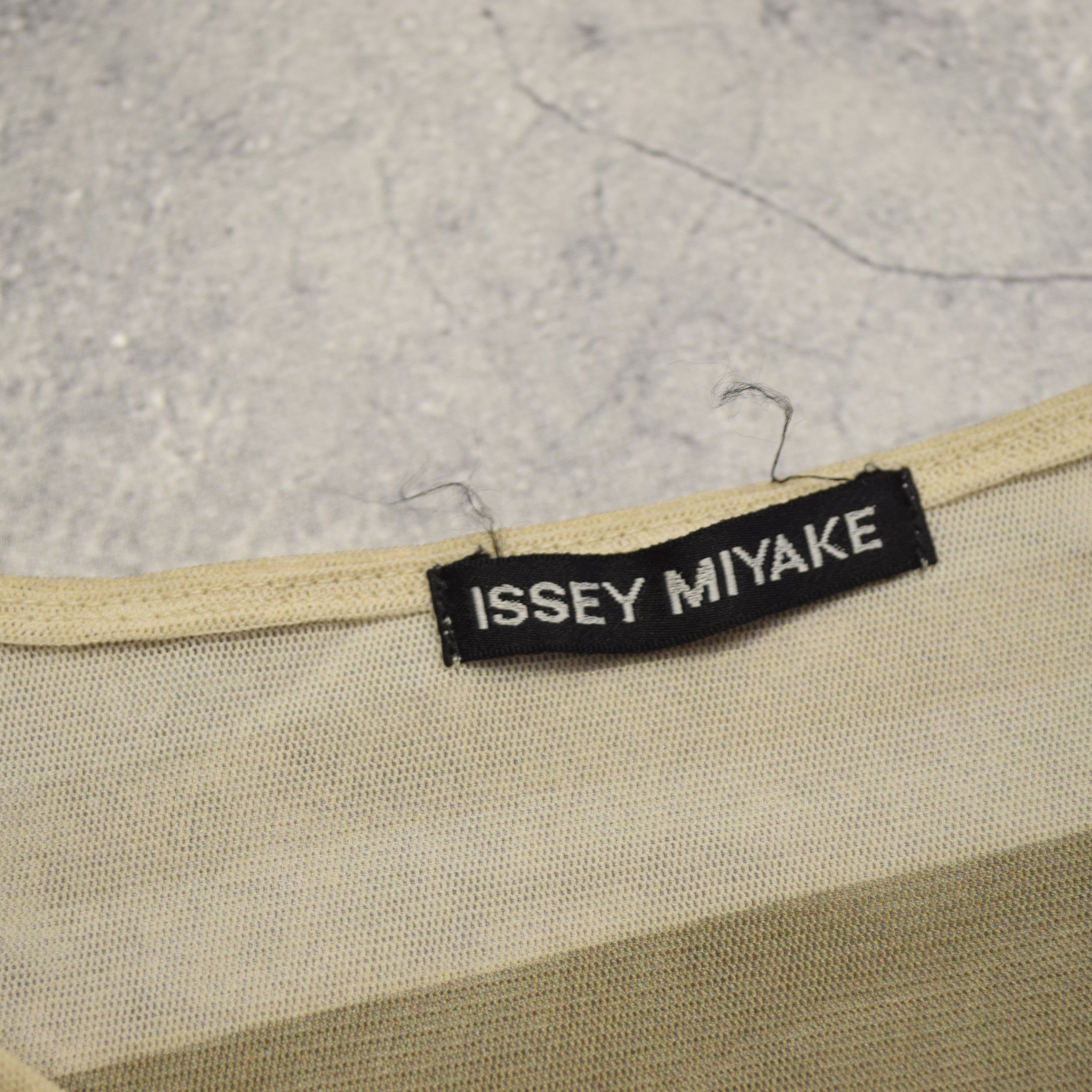 Issey Miyake Colorblocked Sheer Top