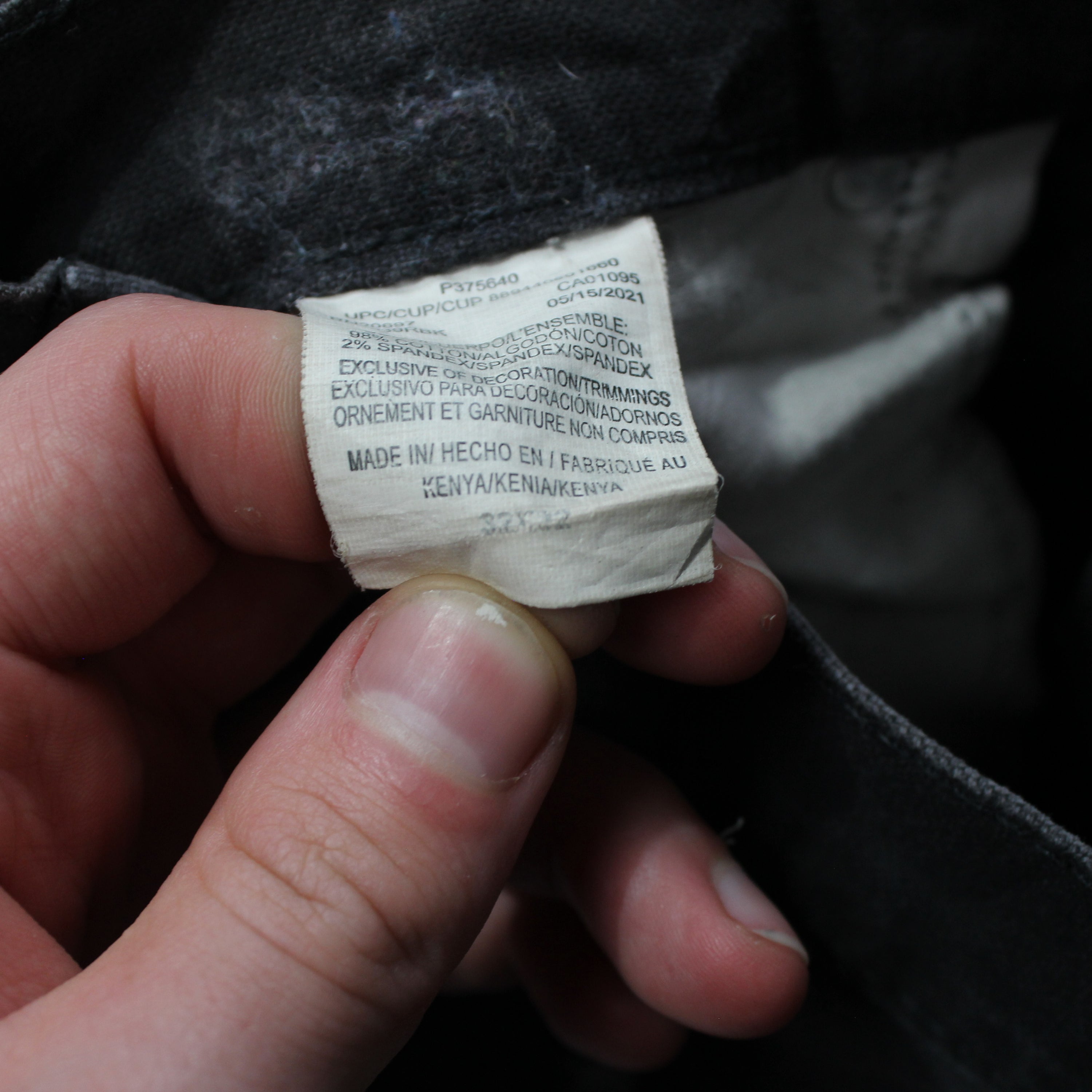 Dickies Carpenter Pants